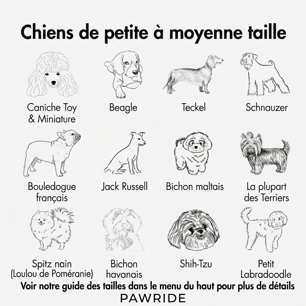 PawRide -Panier Vélo pour Chien Sécurisé, Compatible E-Bike